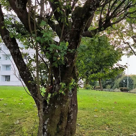 Harz High End 4 Und 5 Sterne Dtv Διαμέρισμα