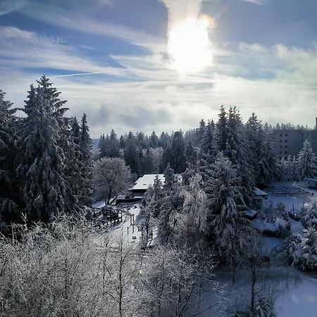 Harz High End 4 Sterne Dtv Apartmán