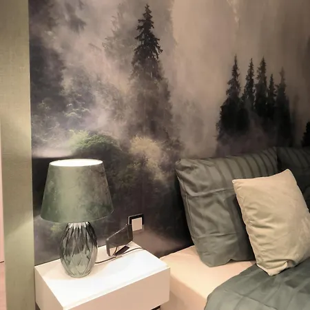 Harz High End 4 Und 5 Sterne Dtv * Γκόσλαρ