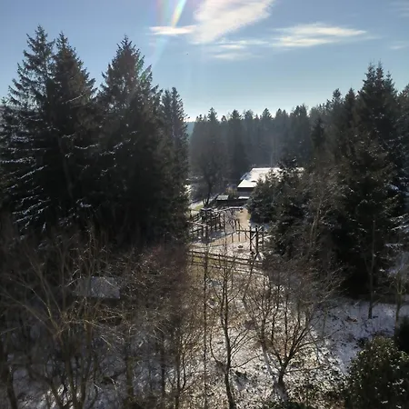 Harz High End 4 Und 5 Sterne Dtv *