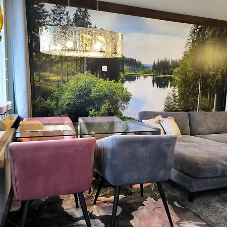 Harz High End 4 Und 5 Sterne Dtv * Γκόσλαρ