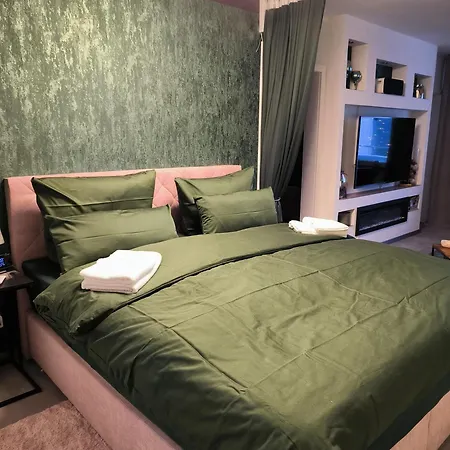 Harz High End 4 Und 5 Sterne Dtv Γκόσλαρ