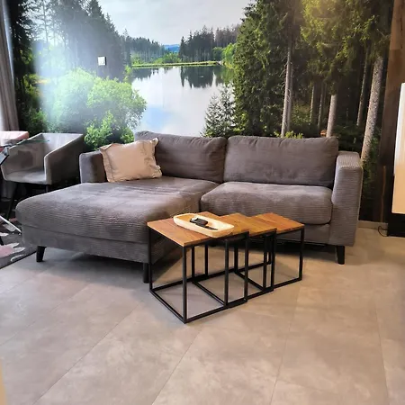 Διαμέρισμα Harz High End 4 Und 5 Sterne Dtv *