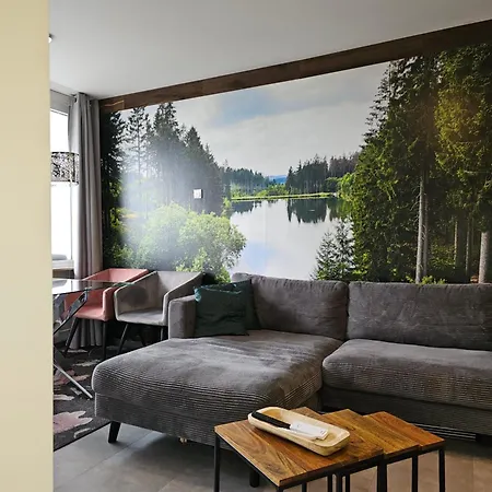 Harz High End 4 Und 5 Sterne Dtv *