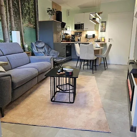 Harz High End 4 Und 5 Sterne Dtv Διαμέρισμα