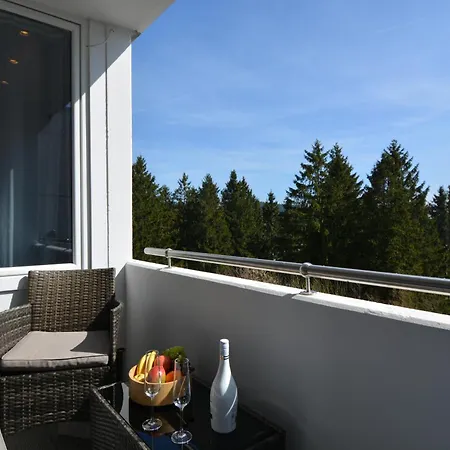 Hahnenklee 4 & 5 Sterne Dtv Apartments Hund Auf Anfrage * Goslar