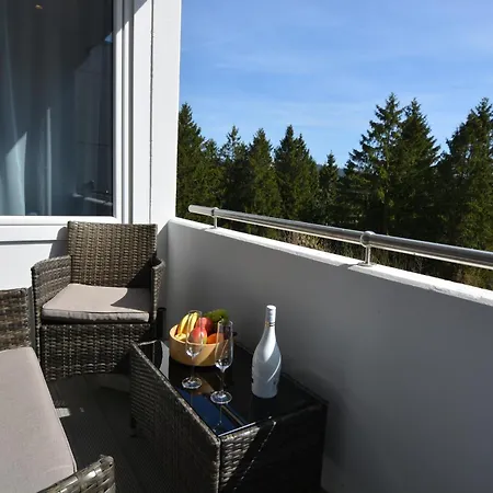 Lägenhet Hahnenklee 4 & 5 Sterne Dtv Apartments Hund Auf Anfrage Goslar