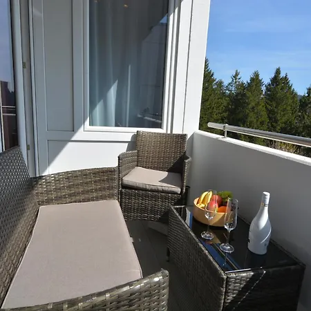 Hahnenklee 4 & 5 Sterne Dtv Apartments Hund Auf Anfrage